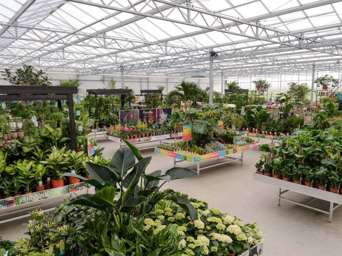 Garden Centers